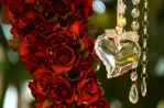 كيف يعزز الوقوع في الحب الجديد قوة الدماغ والذاكرة؟