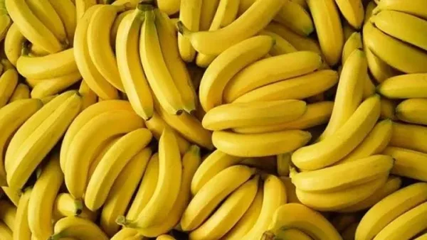 ماذا تعني رؤية الموز في المنام؟