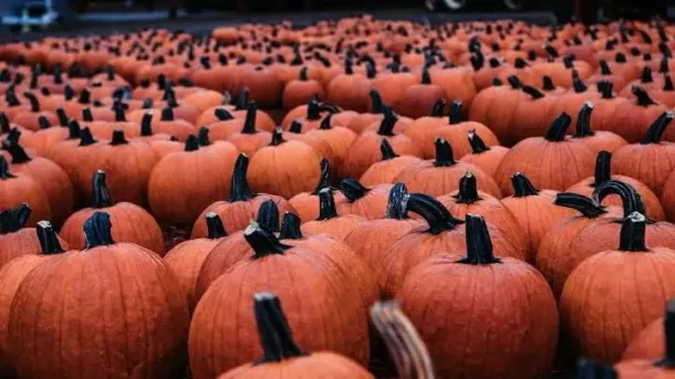 صورة توضيحية للمقال