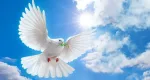 أجمل الأقوال والحكم الملهمة عن السلام