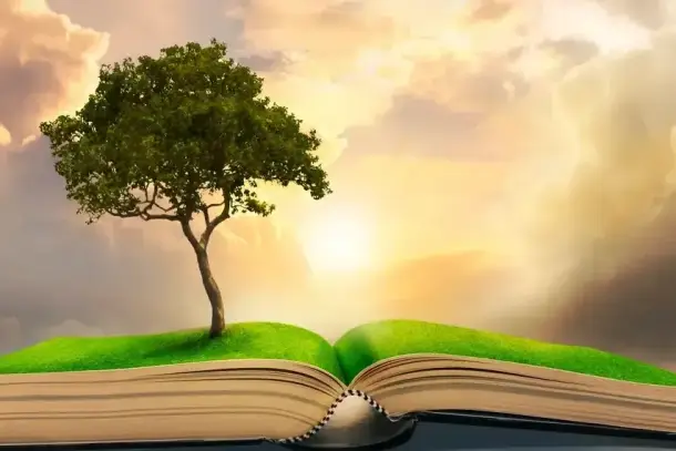صورة توضيحية للمقال