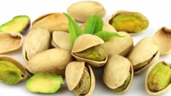مخاطر صحية غير متوقعة للفستق الحلبي