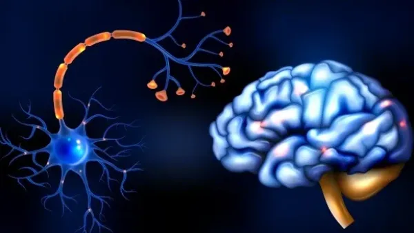 داء الكيسات العصبية: أسبابها وأعراضها وعلاجها