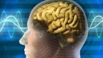 تعلم لغة جديدة يعزز كفاءة الدماغ