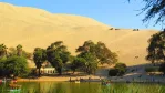 الواحة في المنام: رمز للراحة والبحث عن الأمان