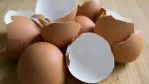 تفسير حلم قشر البيض في المنام