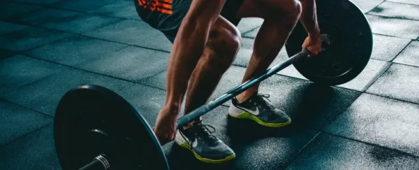 هل تخسر عضلاتك بالكامل عند التوقف عن التمرين؟