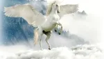 تفسير حلم رؤية الحصان المجنح في المنام