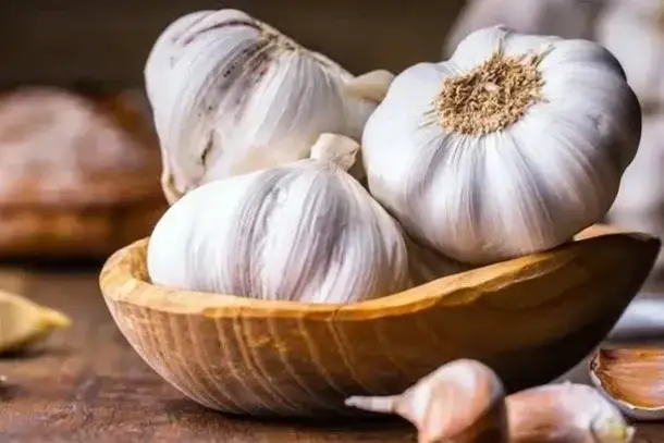 صورة توضيحية للمقال