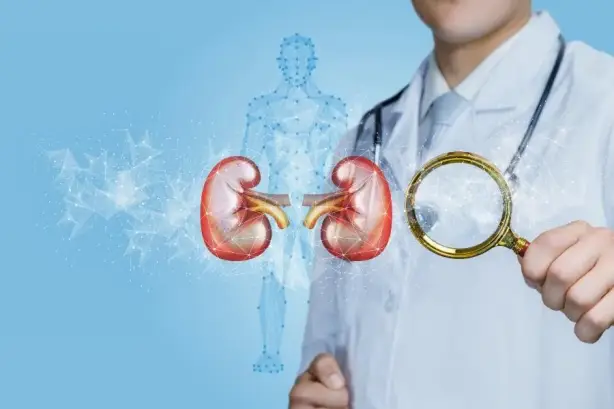 تنسيق الوجبات الغذائية الصحية والحد من الصوديوم والأكسالات لمنع ترسب الأملاح في الكلى