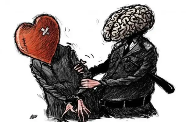 كيف تنشأ المشاعر في الدماغ