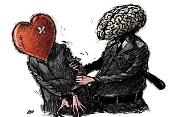 كيف تنشأ المشاعر في الدماغ