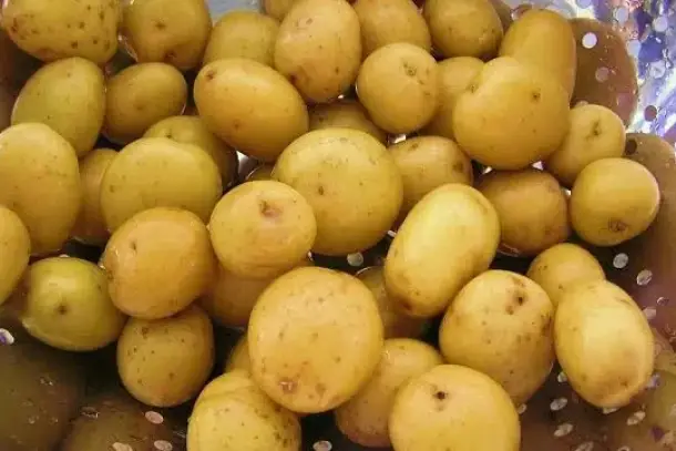 فوائد البطاطا للأطفال