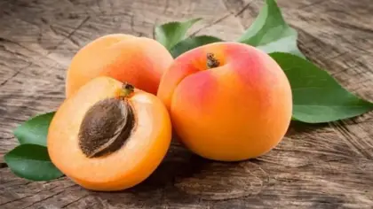 تفسير حلم أكل المشمش وقطفه من الشجرة