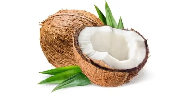 فوائد جوز الهند وزيته
