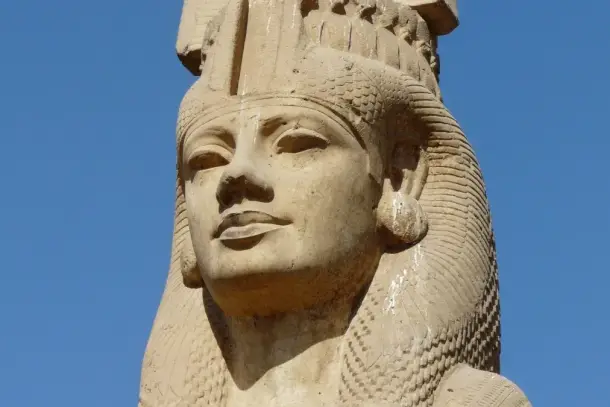 الملكة ميريت نيت