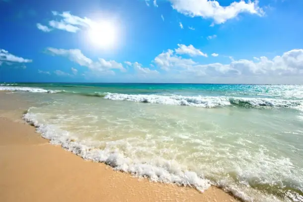 شاطئ البحر في المنام