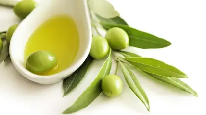 كيف يعزز الزيتون وزيته صحة الجسم ويقاوم الأمراض؟