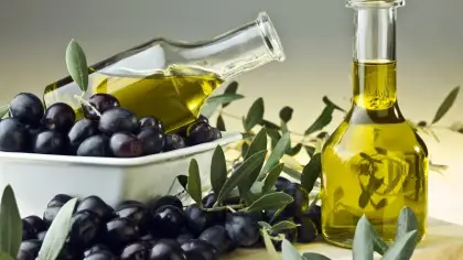 تفسير حلم الزيتون وأكل ثمار الشجرة المباركة